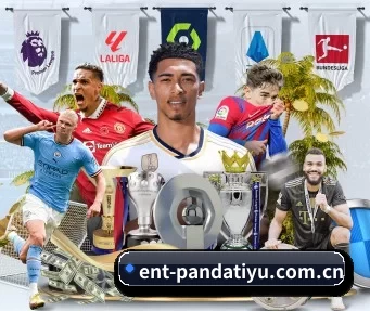 ent-pandatiyu.com.cn APP